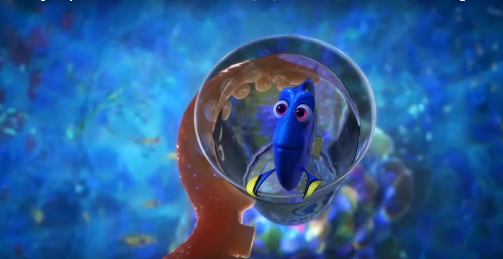 finding dory 2016 full movie free hd